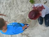DSCN3804