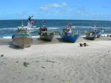 DSCN4062