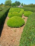 DSCN4297