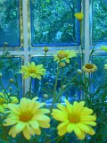 DSCN4347