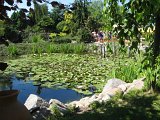 IMG_1589